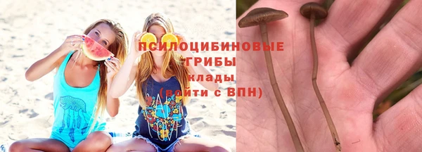 каннабис Алзамай