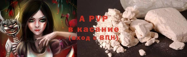 мет Алексин