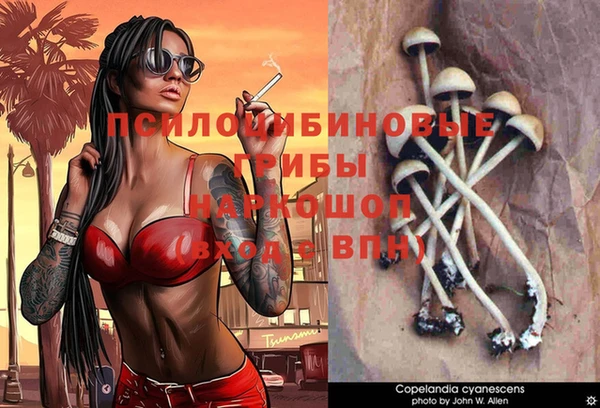 ПСИЛОЦИБИНОВЫЕ ГРИБЫ Абаза