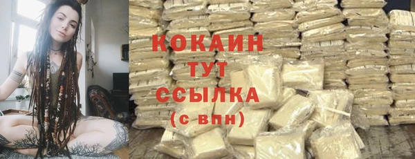ПСИЛОЦИБИНОВЫЕ ГРИБЫ Абаза